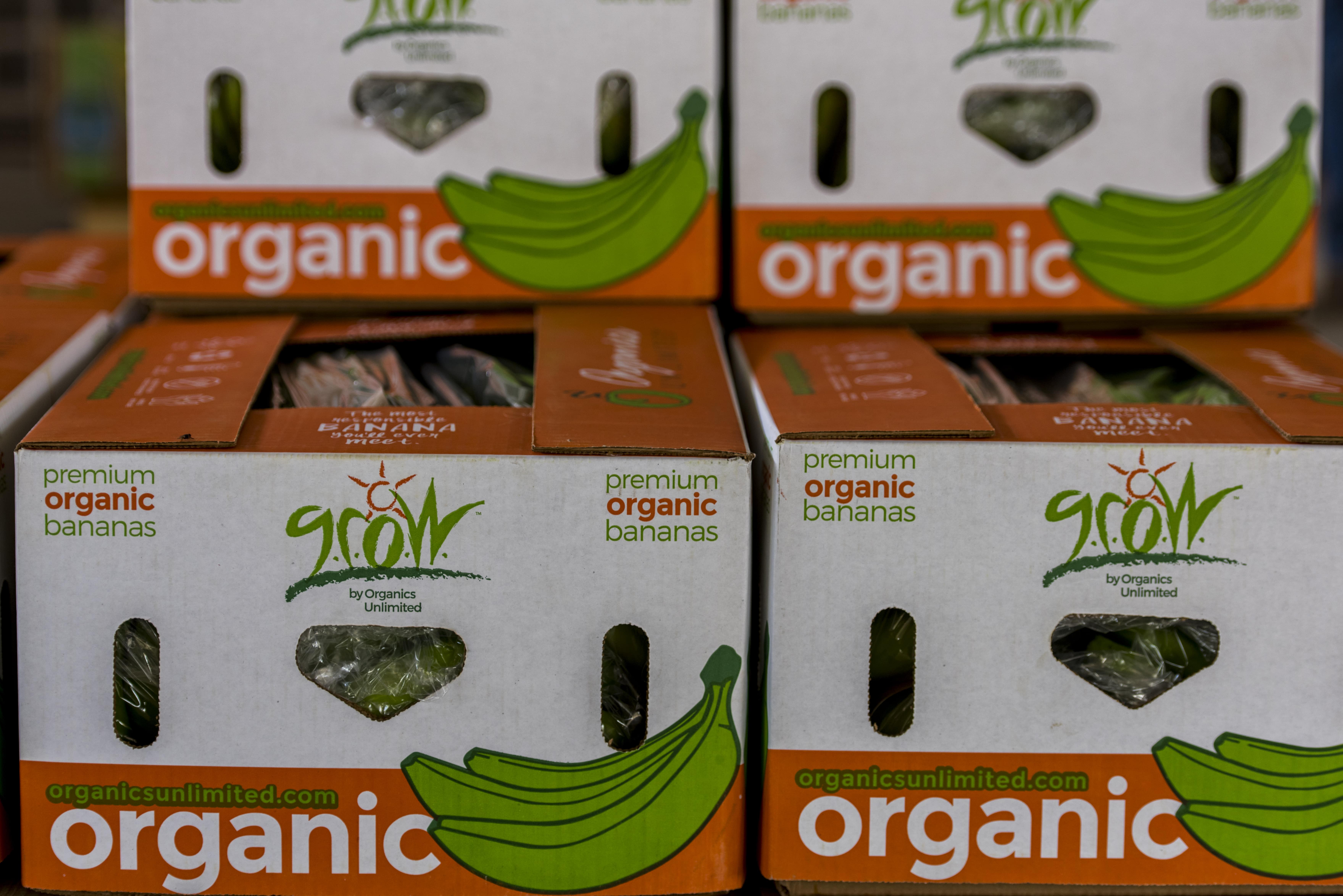 Recognizing the Importance of Social Responsibility Branding