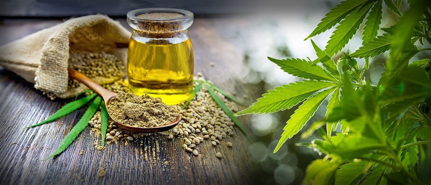 CBD market is on the verge of becoming a mega-industry