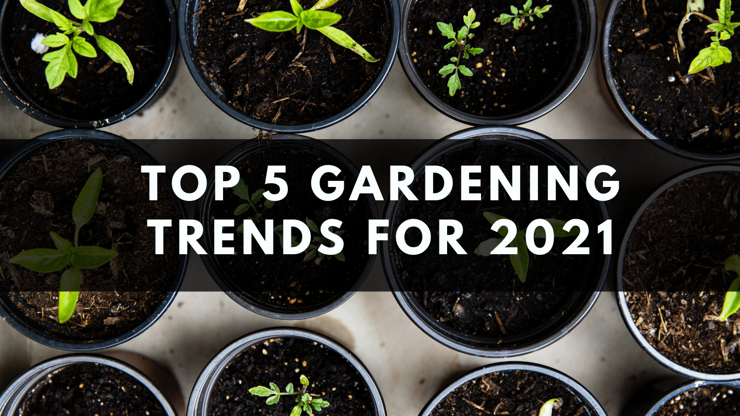 Top 5 Gardening Trends for 2021